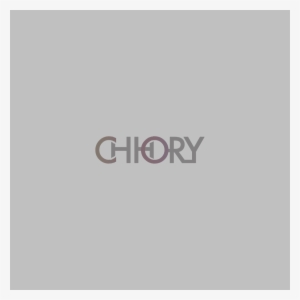 Kylie Jenner Denies Rumors About Being The Singer For - Jdm Theory