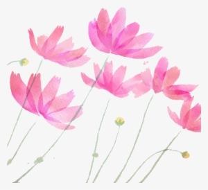 Adobe Illustrator Watercolor Painting Pastel Drawing - Lotus Illustrator