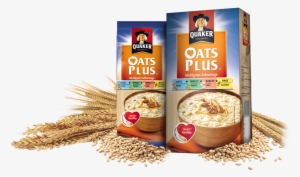 Quaker Oats Plus - Quaker Oats Plus - Multigrain Advantage - 300 Gm