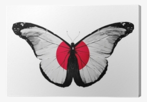 Japanese Flag Butterfly, Isolated On White Background - South Korea Flag Butterfly, Isolated On Mug