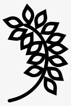 Oatmeal Comments - Oat