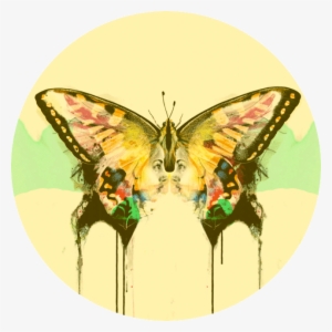 Spring Equinox - Beautiful Yellow Swallow Tail Butterfly, For The Love