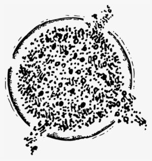 Pure Chlorella Organic Cracked Cell Wall Pyrenoidosa