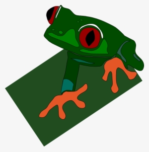 Red Eye Frog Svg Clip Arts 588 X 600 Px