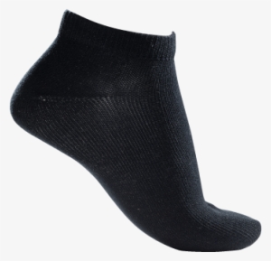 Sci Hp318 Ankle Sock - Thorlo Inc.