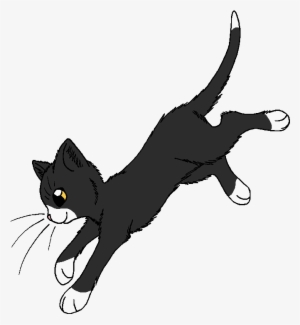 Socks - Warrior Cats Sparrowfeather