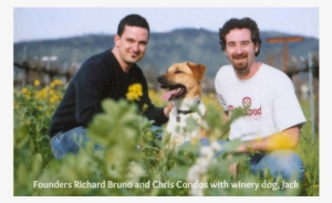 Chris Condos And Richard Bruno Began Vinum After Becoming - Vinum Cellars Inc