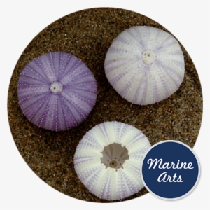 Chalkboard Class Of Graduation Gift Stickers