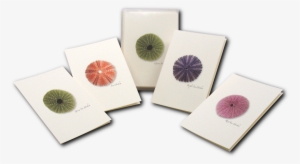 Shopping Cart -  -  - Fennel Flower