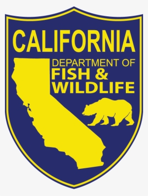 Fish And Game Commission Increases Purple Sea Urchin - California Game Warden Throw Blanket
