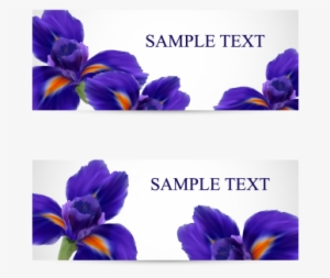 Postcards With Realistic Iris Flowers, Iris, Flower, - Flower