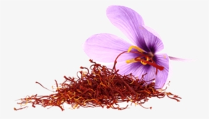 Saffron Flower Png - Vaadi Herbals Shower Gel, Luxurious Saffron, 300 Ml