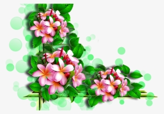 Flower Corners By Ella 5png Rc Lens And Album - Картинки