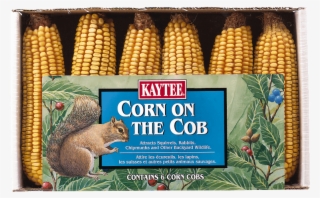 Corn On The Cob, 6 Pack - Corn Kernels