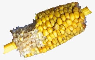 Corn On The Cob 717640 Clip - Corn On The Cob