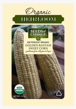 Organic Golden Bantam Sweet Yellow Corn Seeds - Seed