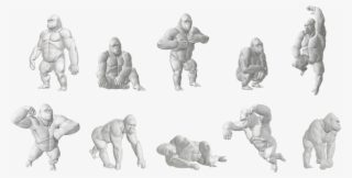 Dawn's Starter Stack - Gorilla Drawing Pose