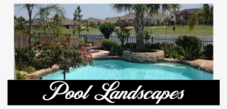 Pool Landscaping, Pool Landscapes, Pool Scaping - Swimming Pool