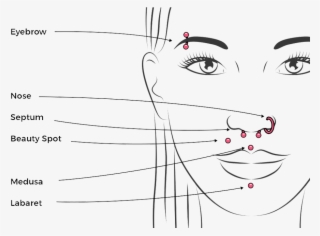 Facial Piercing Chart - Average Piercing Prices