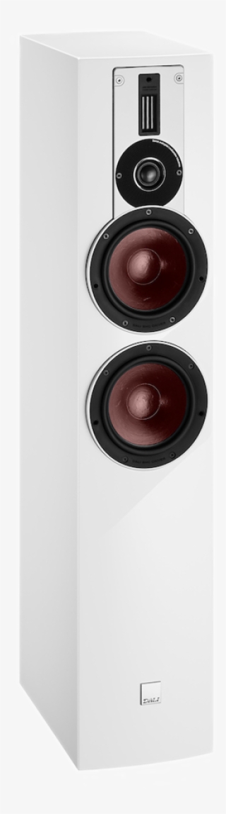 Danish Audiophile Loudspeaker Industries