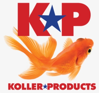 Features - Bony-fish