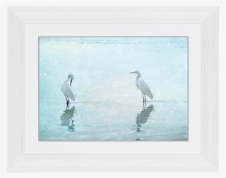 Crane