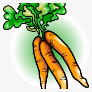 Carrot Clipart Free Carrot Clipart Image Carrots Food - Clip Art Vegetables