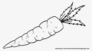 Png Library Library Carrot Clipart Vegatable - Carrots Black And White