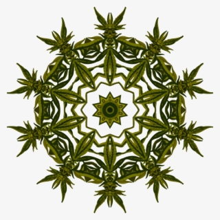 Hemp Leaf Cannabis