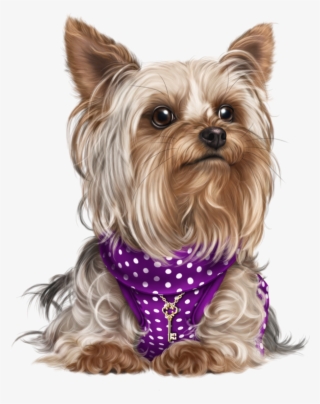 Yorky, Puppy Images, Cute Puppies, Cute Dogs, Dog Cat, - Figurinha Cachorro Png