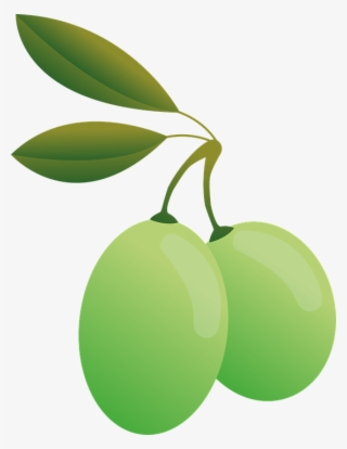 Olives, Green, Oil, Olive Plants, Food, Green Olives - Olive