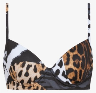 Brassiere