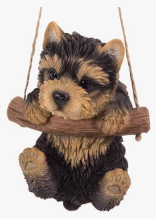 Adorable Yorkie Pup Hanging On A Branch Swing Playful - Yorkshire Terrier