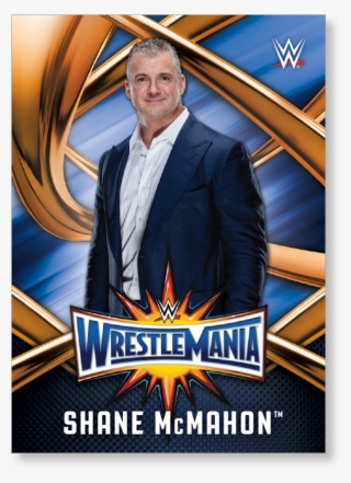 Shane Mcmahon Png - Sasha Banks Wwe Wrestlemania 33