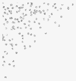 Glam Pooch Divas Yorkshire Terriers, Yorkie Puppies - Paillettes Argent Png