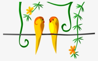 Sounds Like A Parrot - Budgie