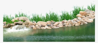 Pebbles Clipart Underwater Plant - Lake Plants Png