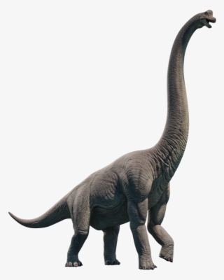 3d - Tyrannosaurus
