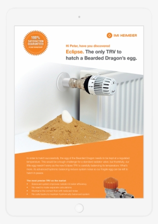 02 The Solution - Poster