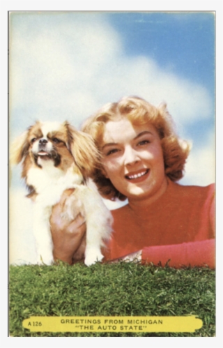 Japanese Chin Dog & Pretty Girl Michigan Auto State - Cavalier King Charles Spaniel