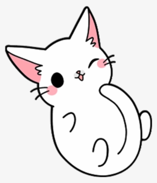 Cat Yawns