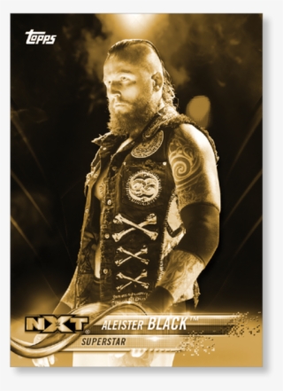 2018 Topps Wwe Aleister Black - Poster