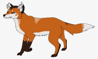 Red Fox - Smooth Collie