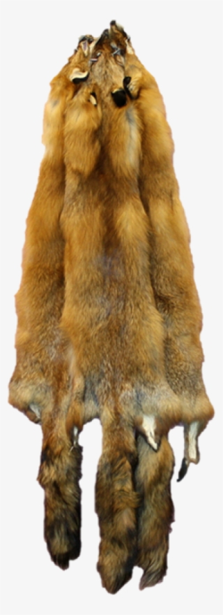 Fox Pelt