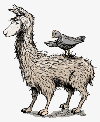 Laamakana - Llama