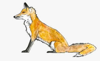 Call To Action - Red Fox
