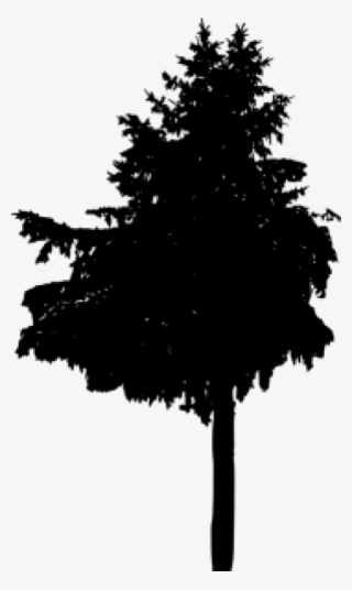 Free Png شجرة صنوبر والصورة الظلية Png Images Transparent - Christmas Tree