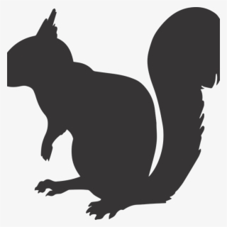 Squirrel Silhouette Math Clipart - Squirrel Silhouette Png