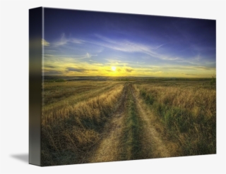 Country Road Hdr By Myron Watamaniuk - Field