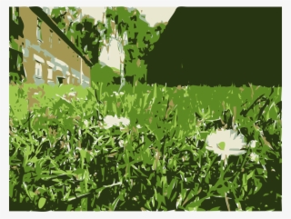 Computer Icons Flower Plants Lawn Shrub - Hymenocallis Speciosa